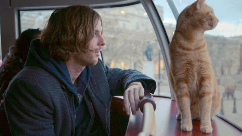 Un gato callejero llamado Bob (2016)