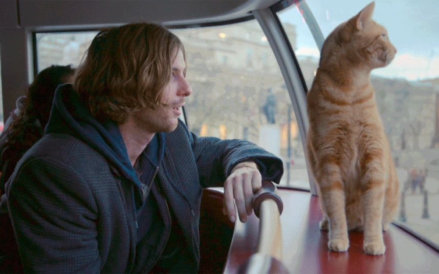 Un gato callejero llamado Bob (2016)